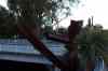 20121010_1927290m.jpg - 2012:10:10 19:27:29
