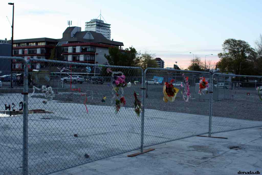 * Image 16