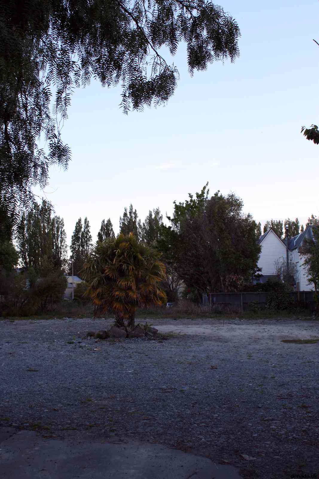 * Image 6