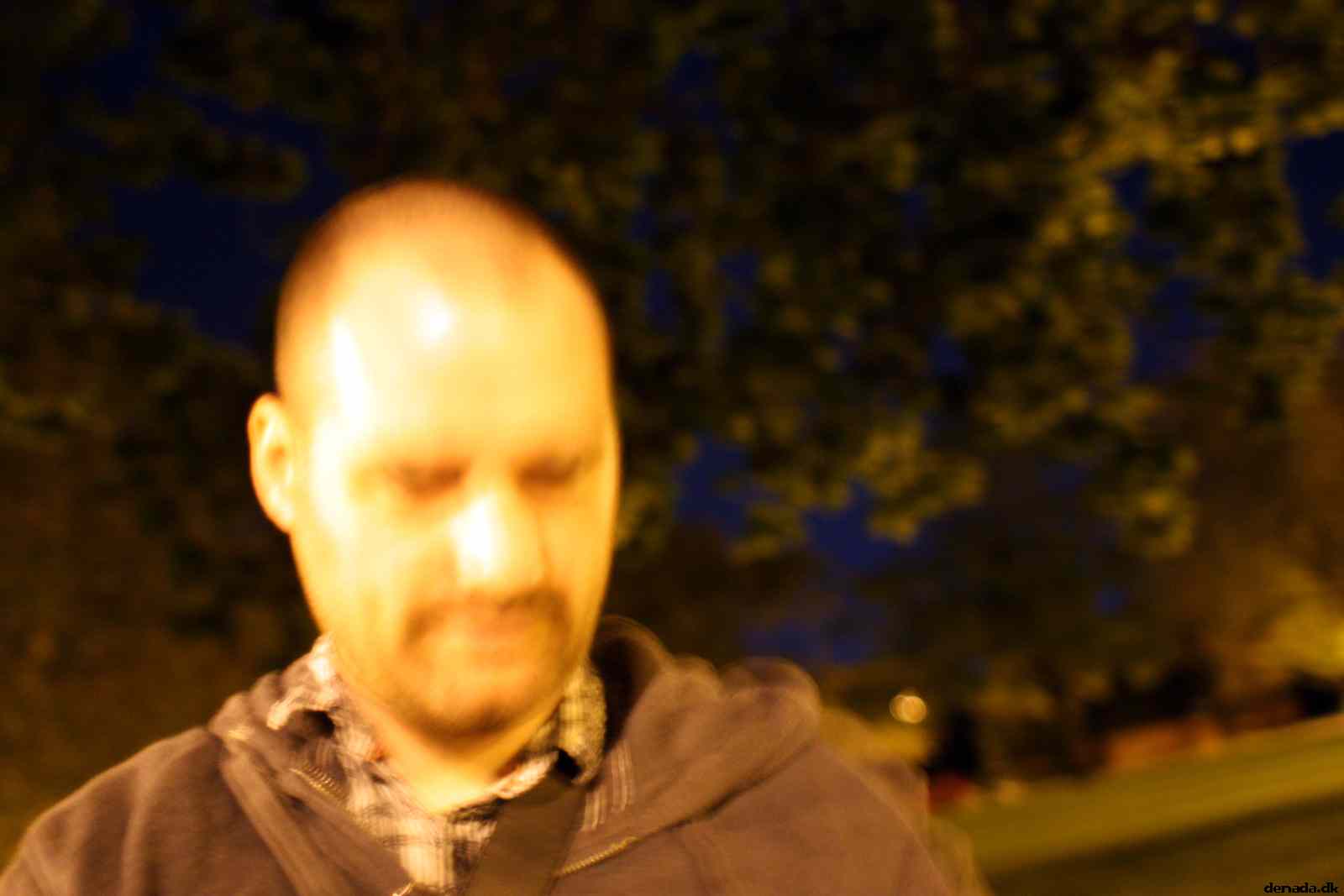 * Image 21