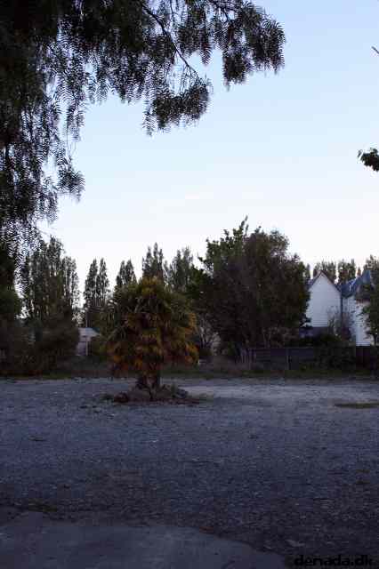 * Image 6
