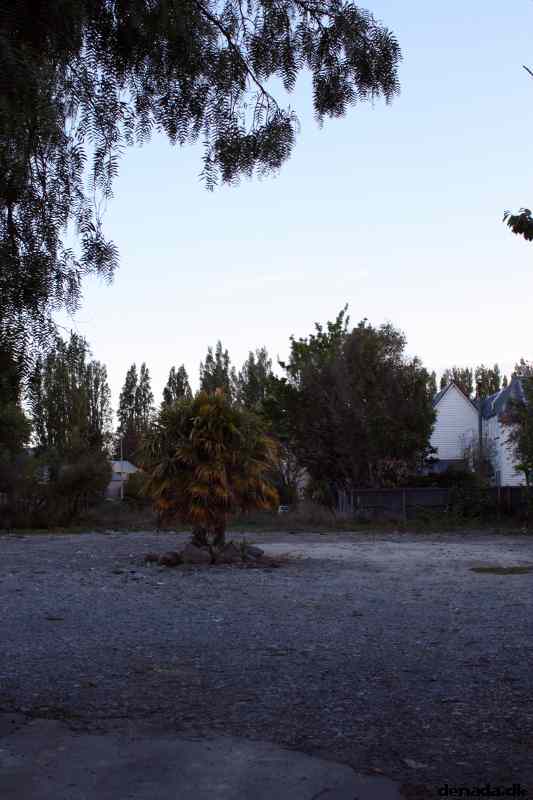 * Image 6