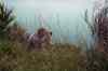 20121011_1052180m.jpg - 2012:10:11 10:52:18
