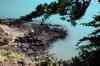 20121011_1219310m.jpg - 2012:10:11 12:19:31