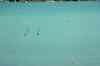 20121011_1246440m.jpg - 2012:10:11 12:46:44