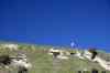 20121011_1259180m.jpg - 2012:10:11 12:59:18