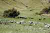 20121011_1313580m.jpg - 2012:10:11 13:13:58
