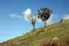 20121011_1426580m.jpg - 2012:10:11 14:26:58