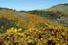 20121011_1522350m.jpg - 2012:10:11 15:22:35
