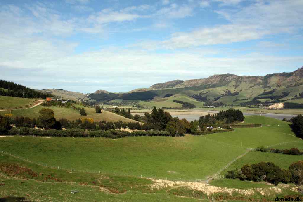 * Image 2