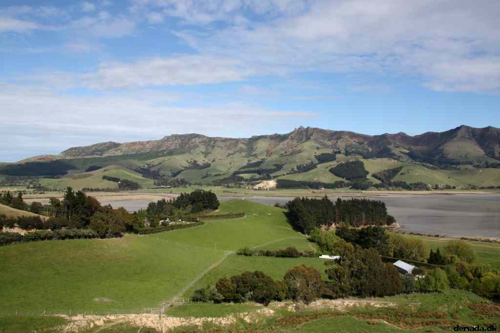 * Image 3