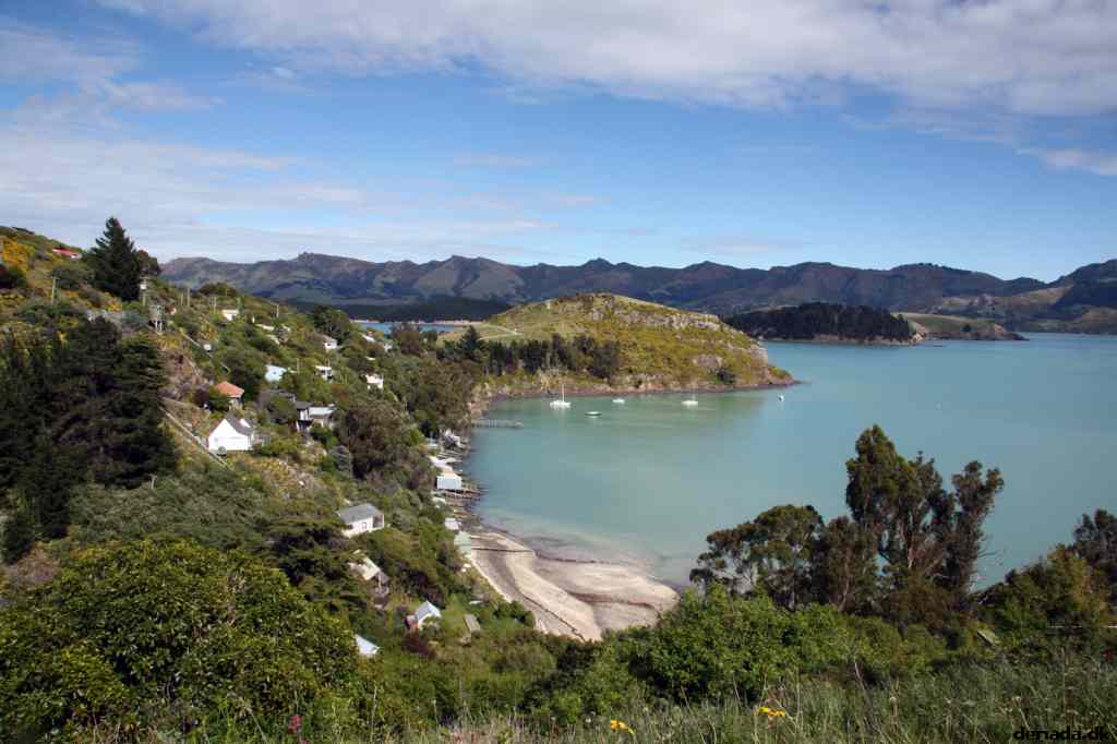 * Image 6