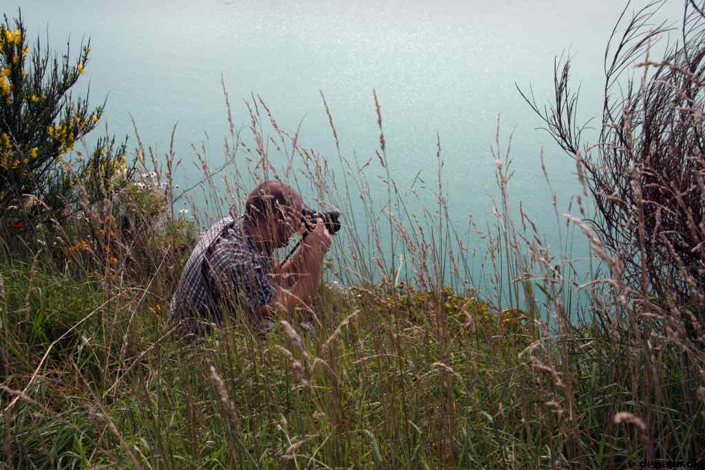 * Image 15