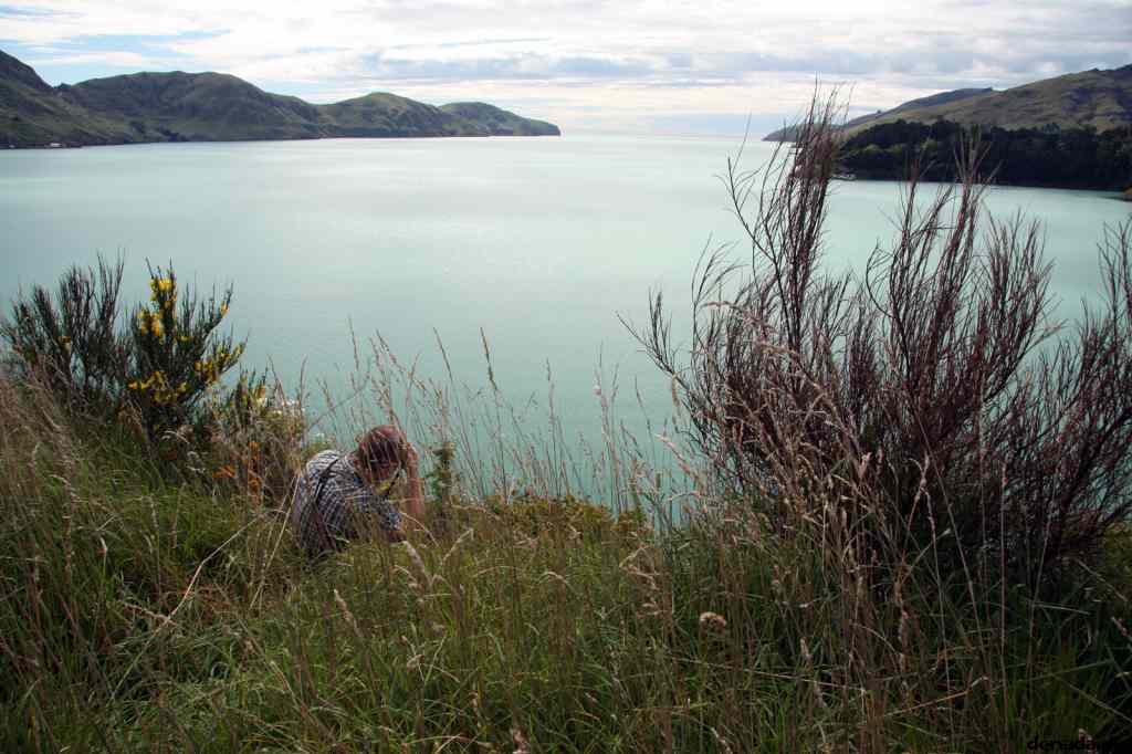 * Image 18