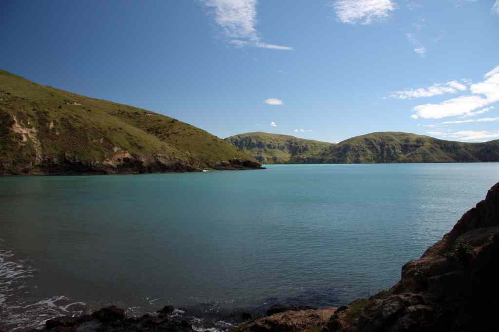 * Image 24