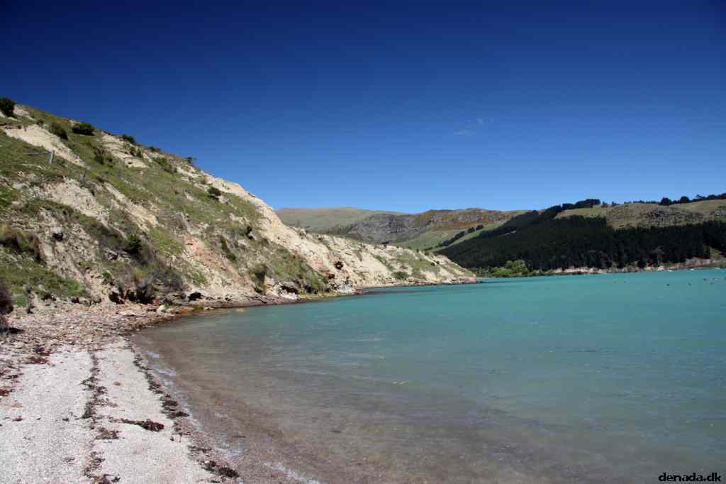 * Image 41