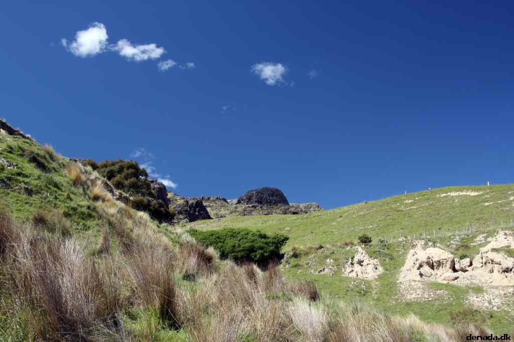 * Image 42