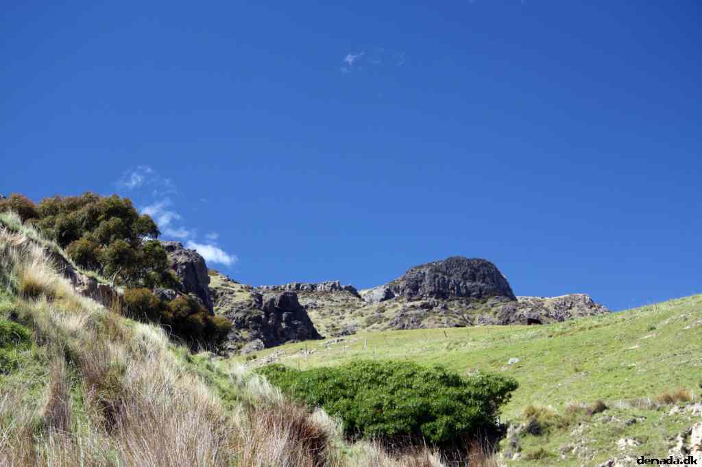 * Image 43