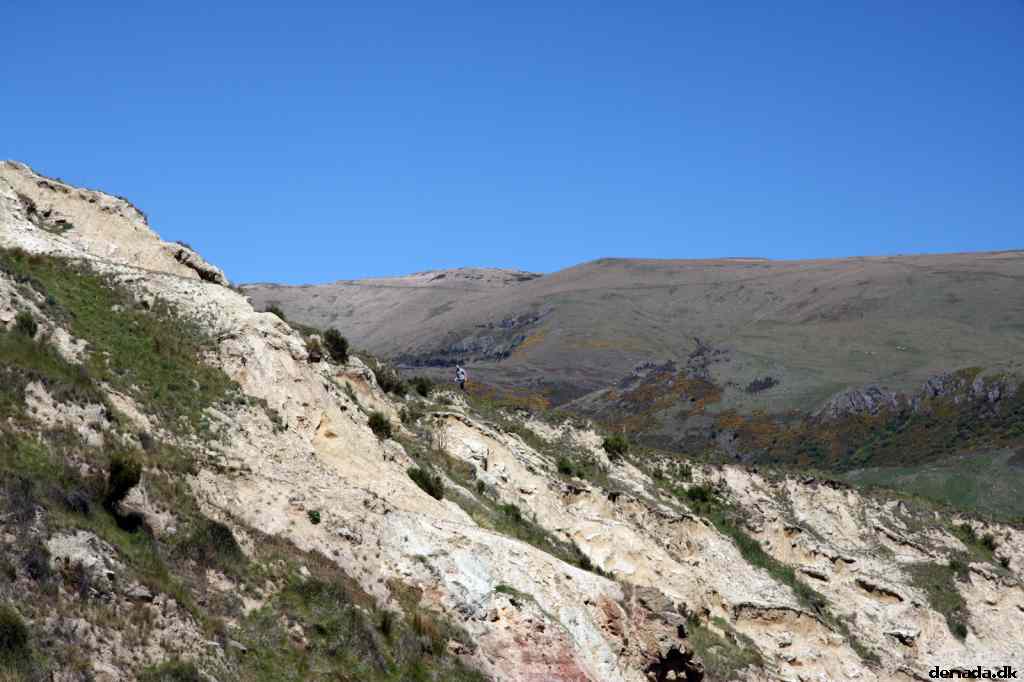 * Image 46