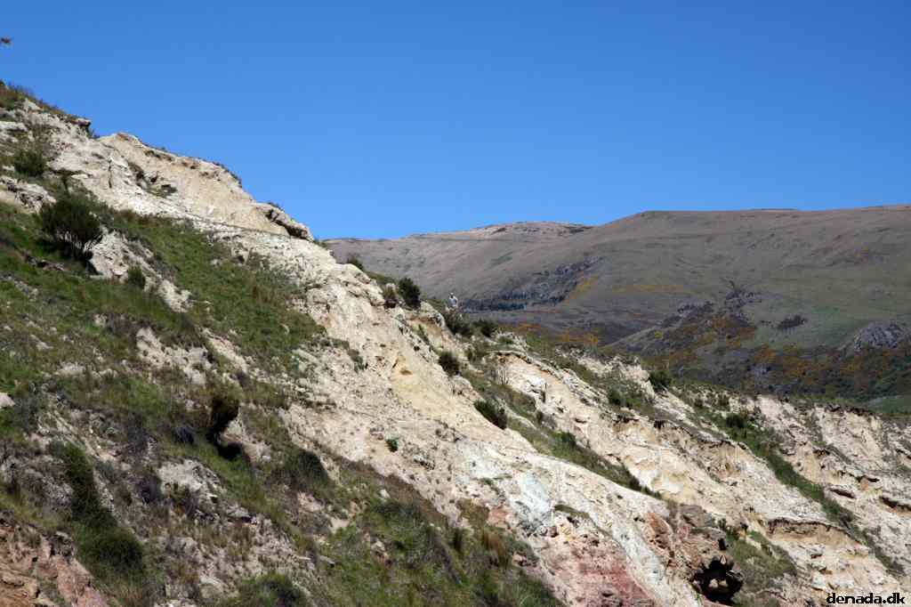* Image 47
