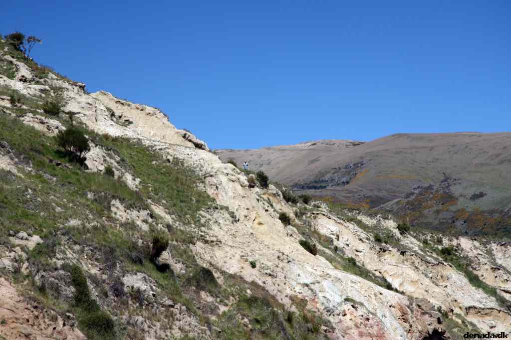* Image 49
