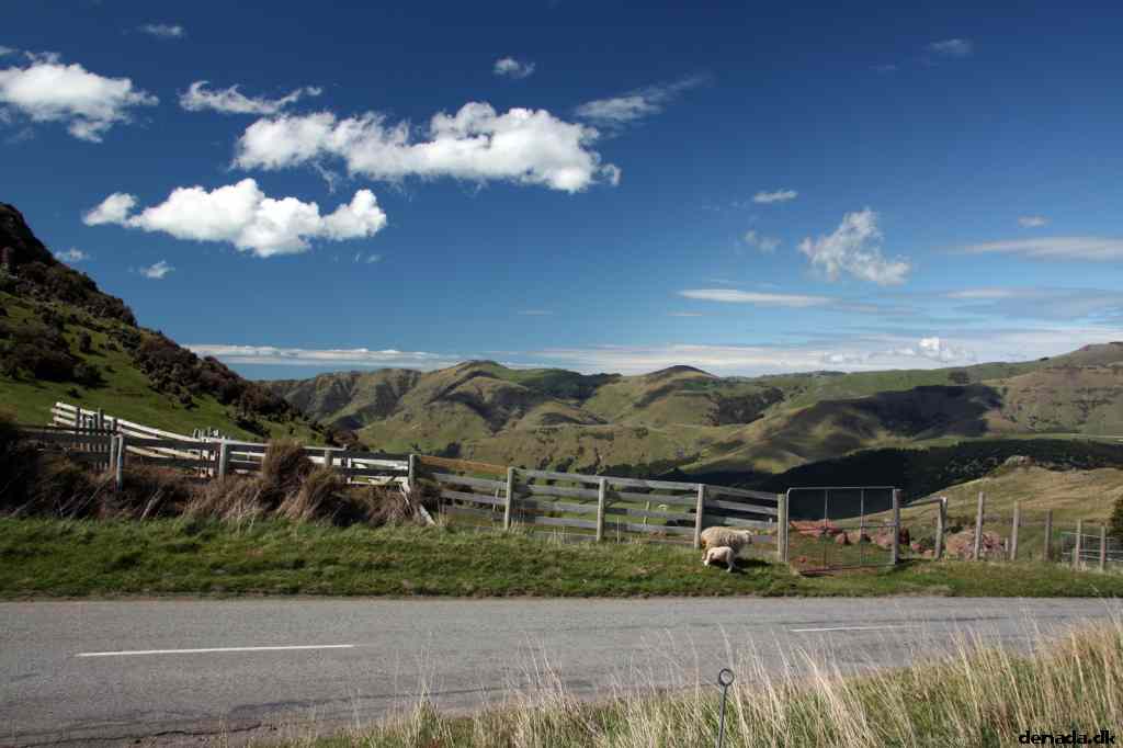* Image 77