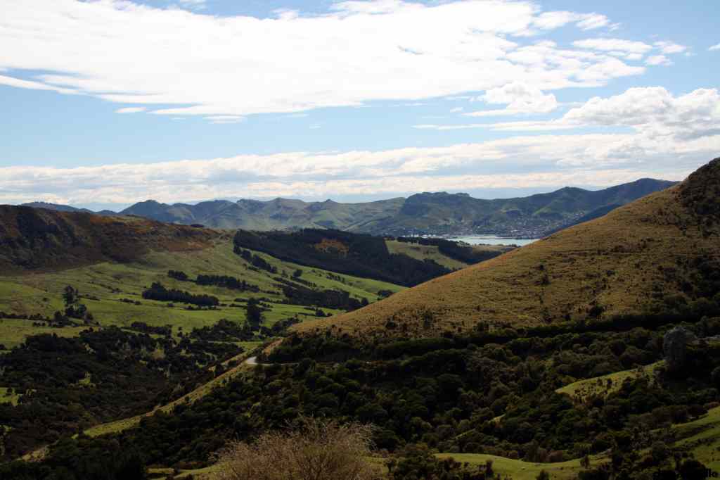 * Image 90