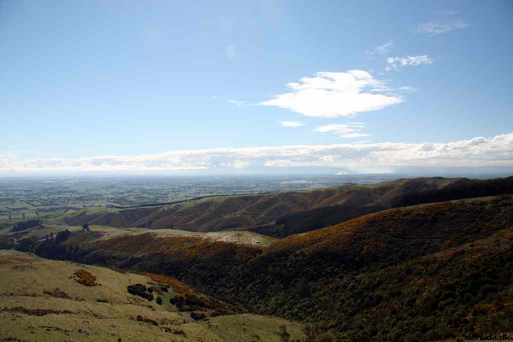* Image 102