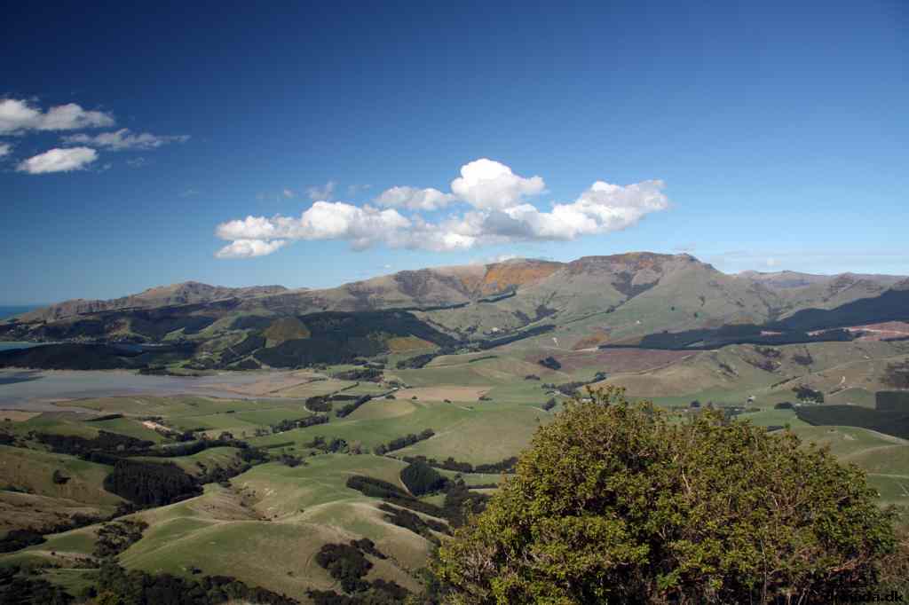 * Image 113