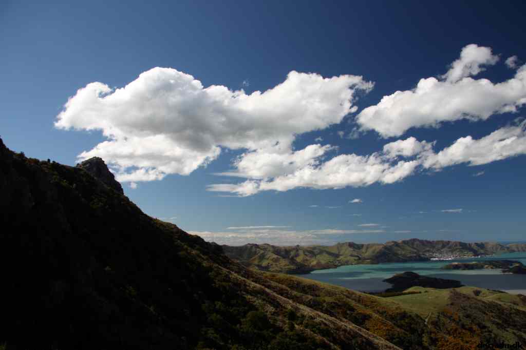 * Image 123