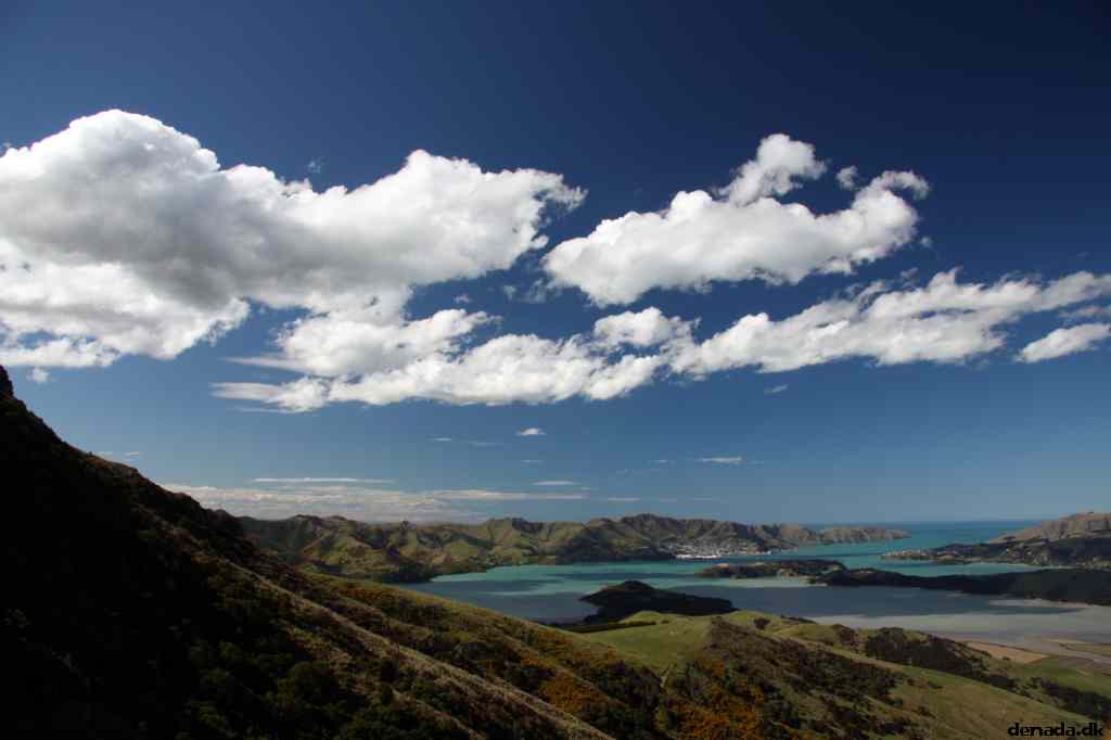 * Image 124