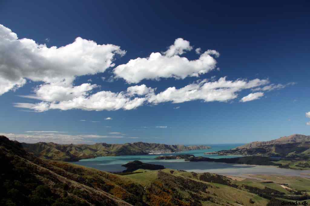 * Image 125