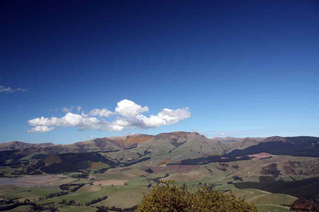 * Image 131