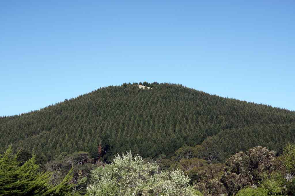 * Image 133