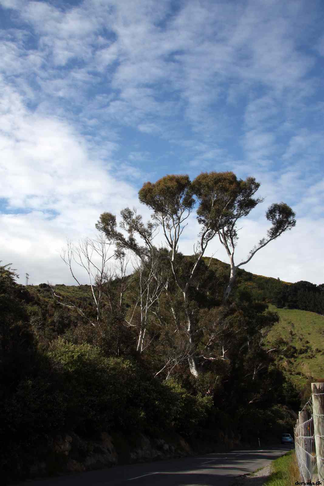 * Image 4