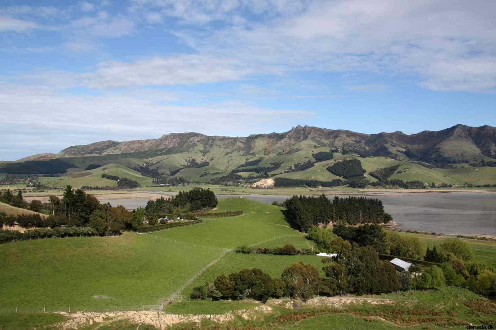 * Image 3