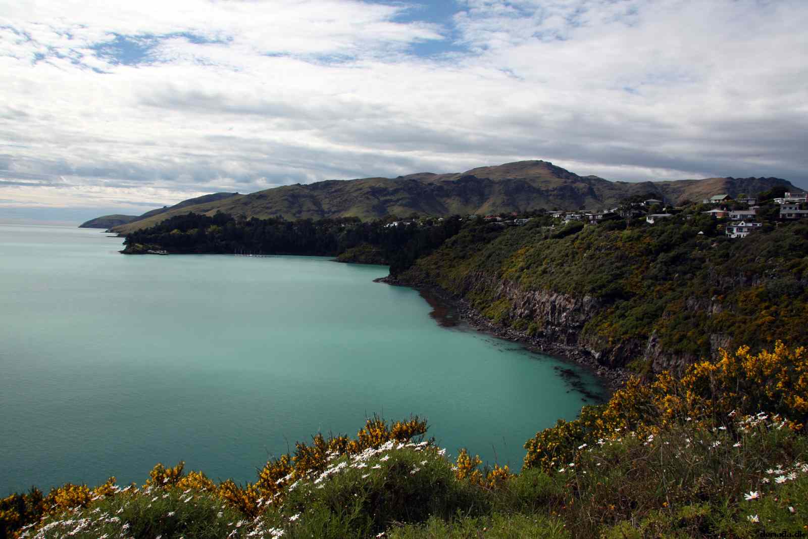 * Image 13