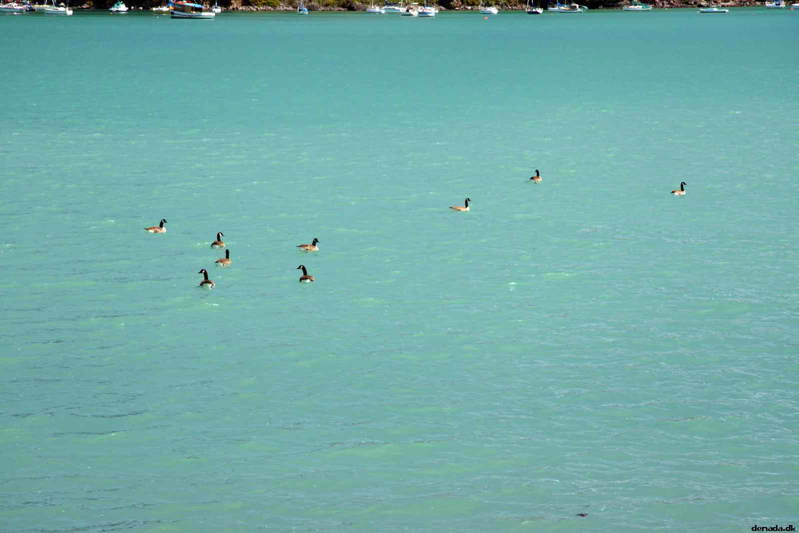 * Image 37