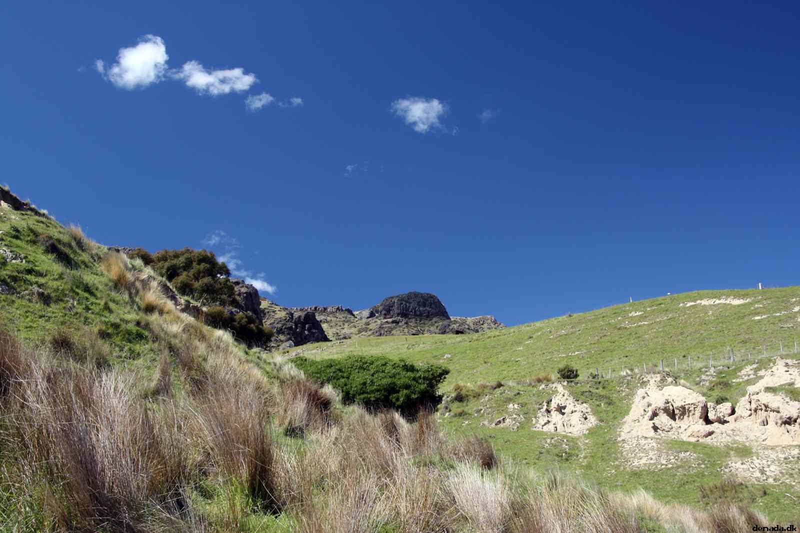 * Image 42