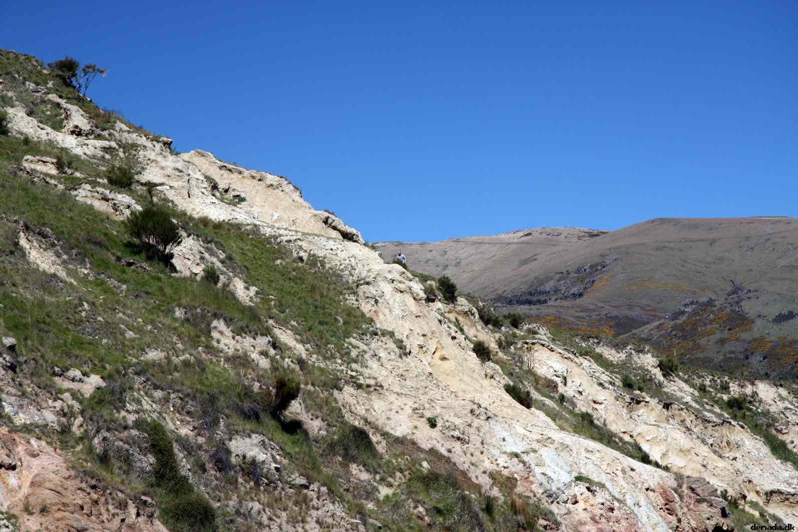 * Image 50