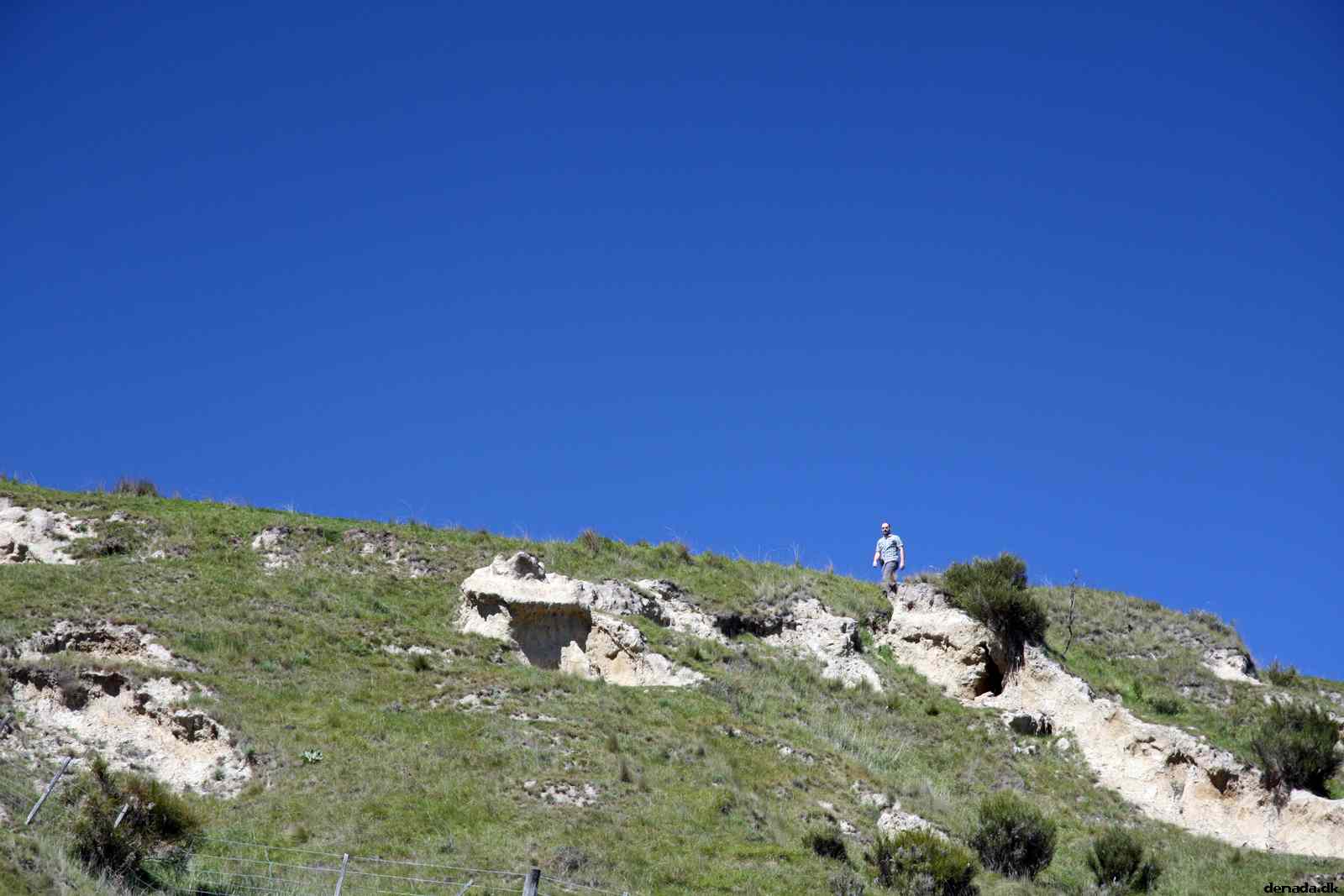 * Image 53