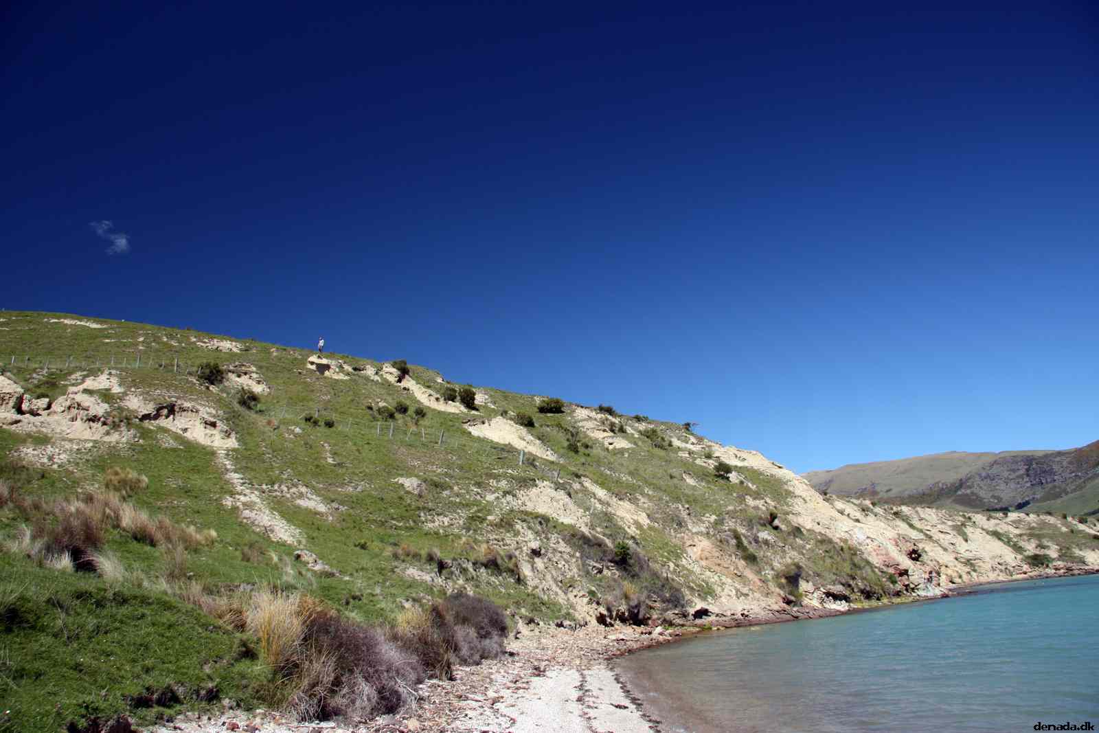 * Image 56