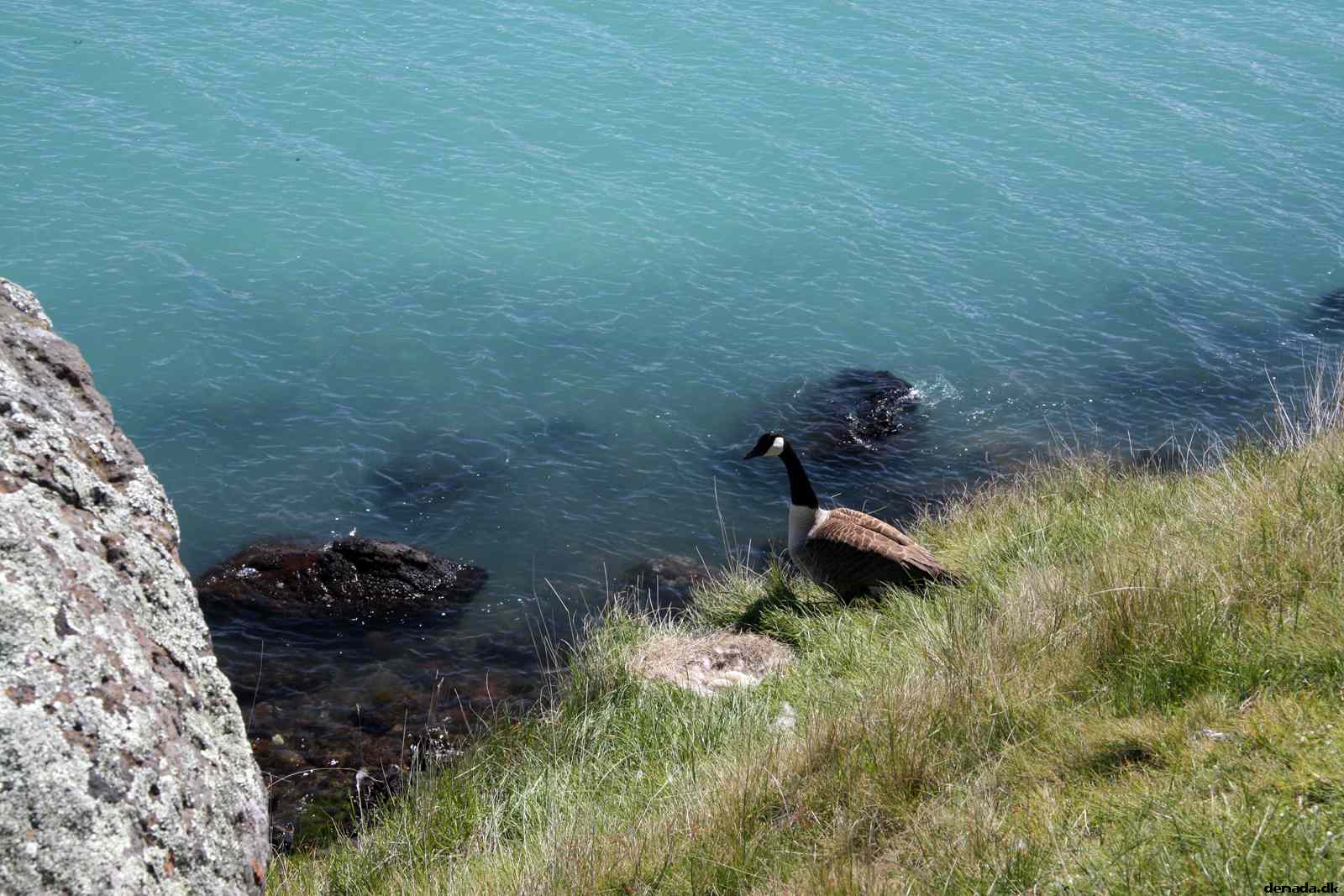 * Image 60