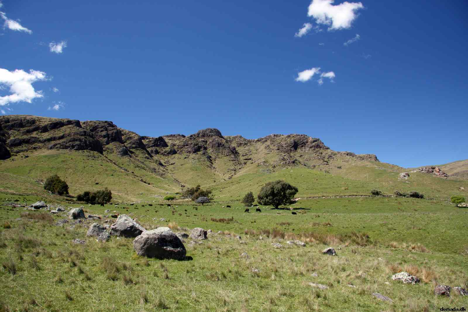* Image 61