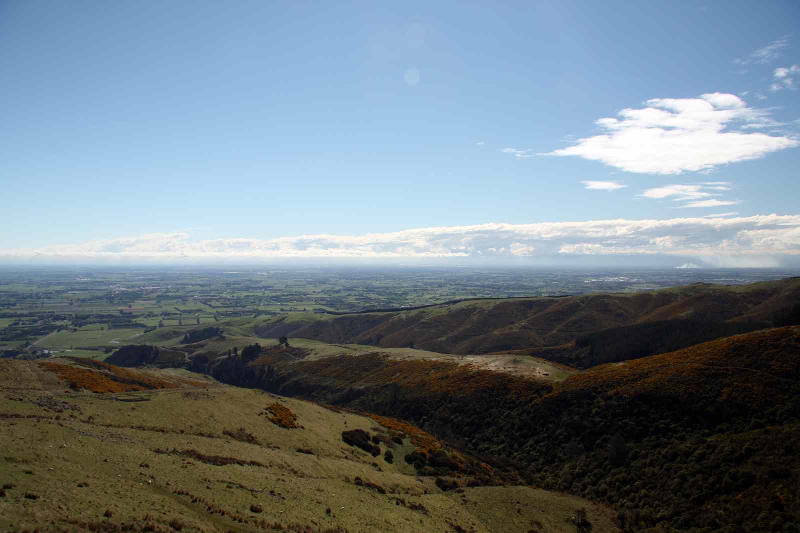 * Image 103