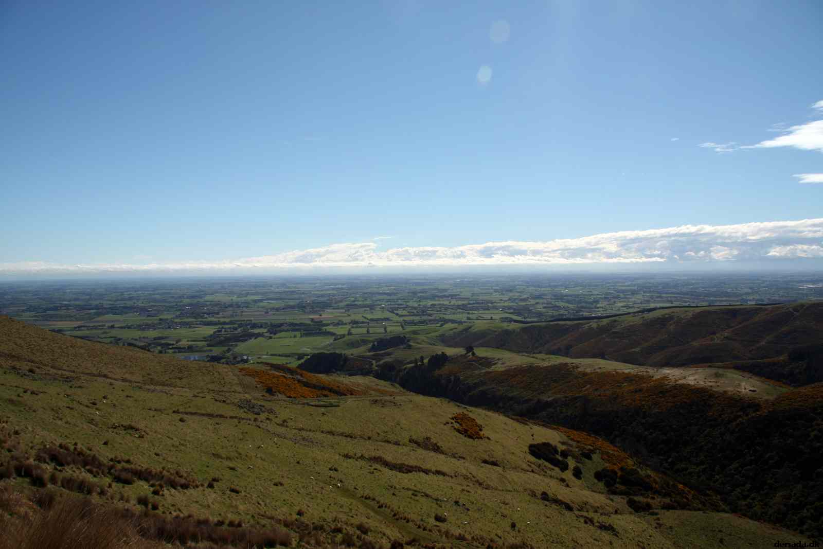 * Image 104