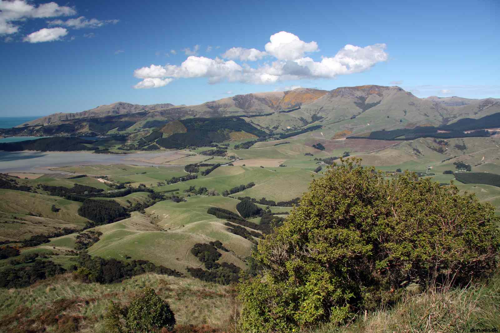 * Image 115