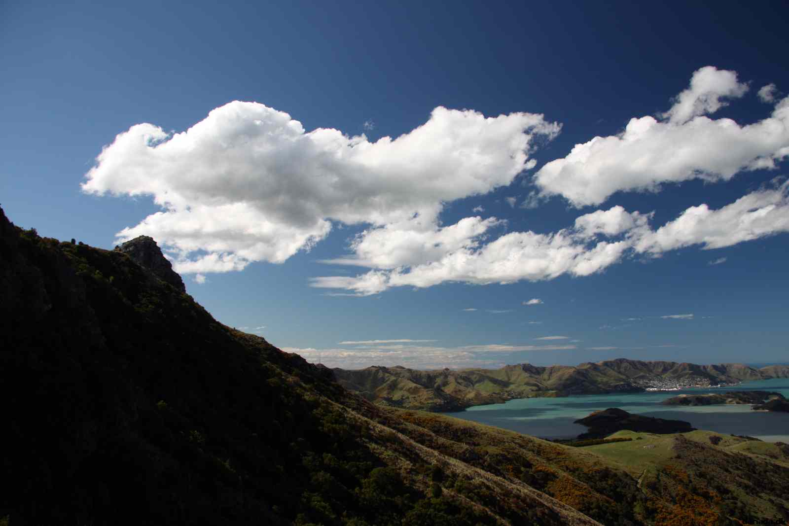 * Image 123