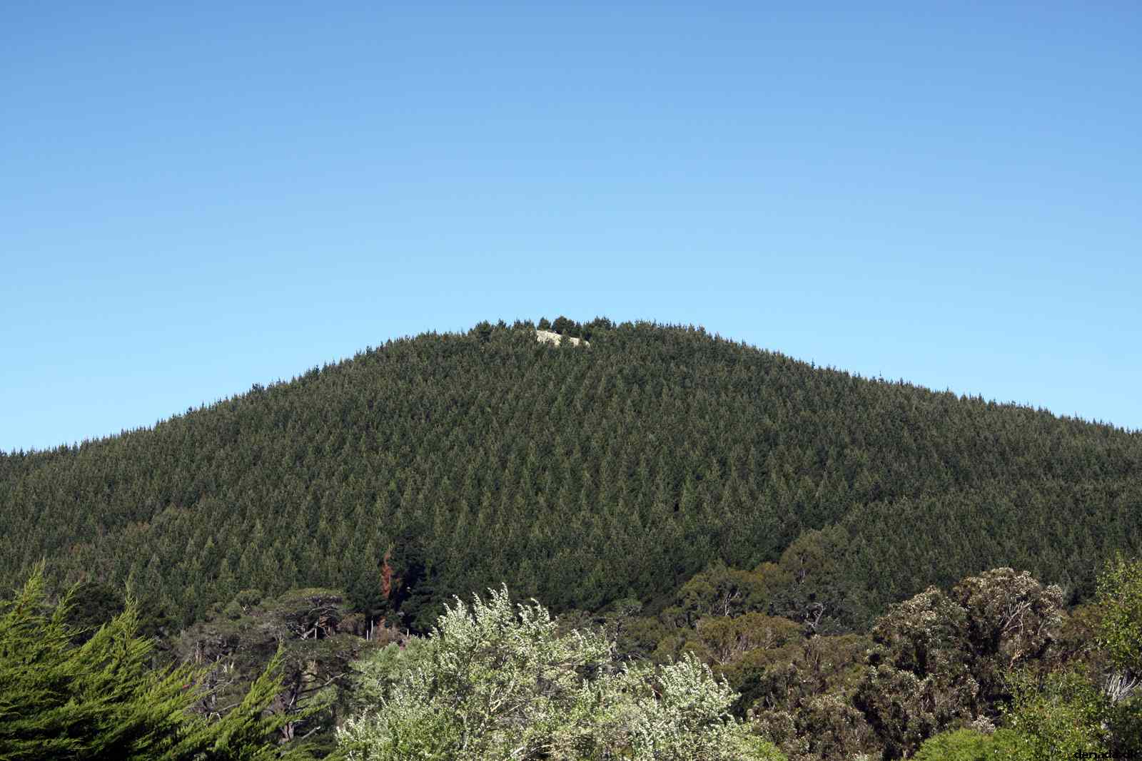 * Image 133
