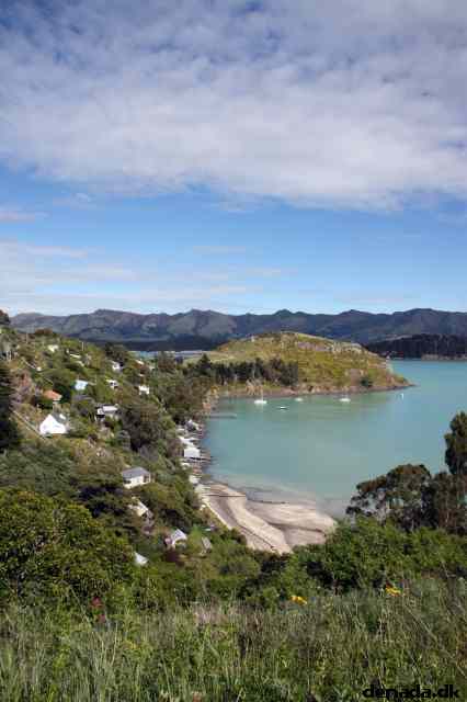 * Image 8